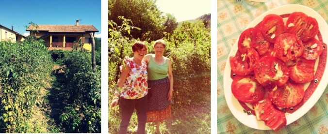 Tomato story banner 1